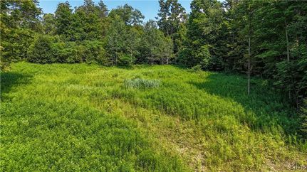 Residential Property for sale in Tompkins County, New York