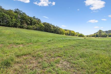 Undeveloped Land for sale in Giles County, Tennessee