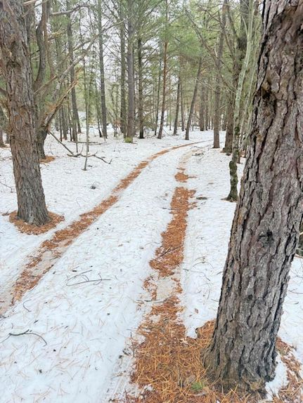 Property for sale in Muskegon County, Michigan