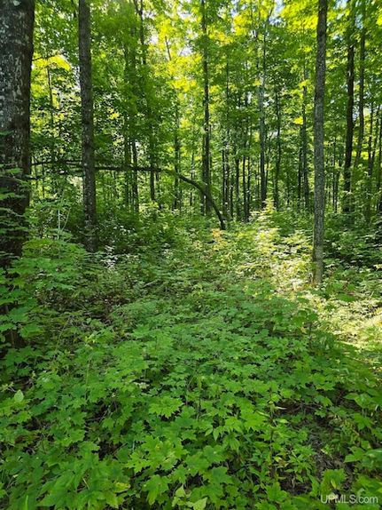 Property for sale in Houghton County, Michigan