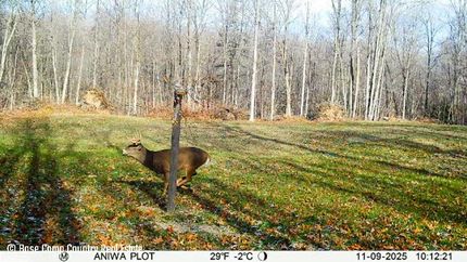 Recreational Property for sale in Marathon County, Wisconsin