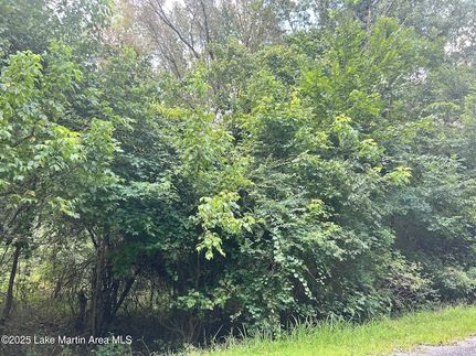 Property for sale in Tallapoosa County, Alabama