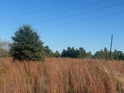 Undeveloped Land for sale in Bastrop County, Texas