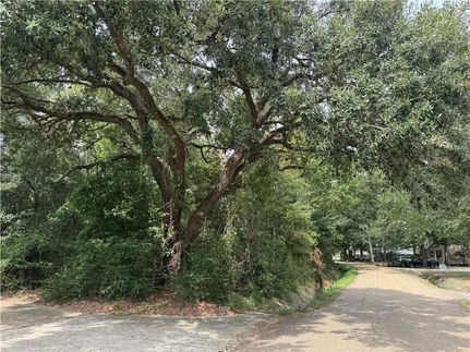 Undeveloped Land for sale in Saint Tammany Parish, Louisiana