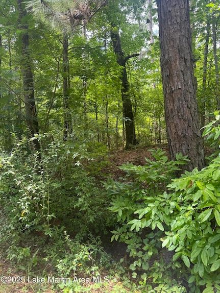 Property for sale in Tallapoosa County, Alabama