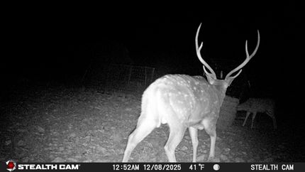 Property for sale in Edwards County, Texas