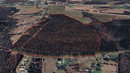 Hunting Land for sale in Abbeville County, South Carolina