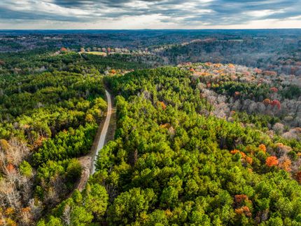 Property for sale in Winston County, Alabama