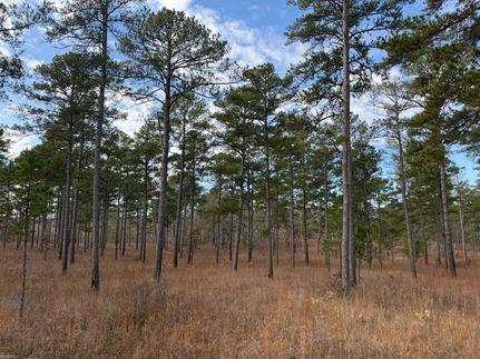 Recreational Property for sale in Bullock County, Alabama