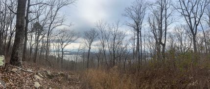 Property for sale in Marion County, Tennessee