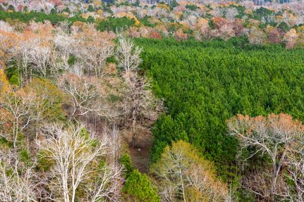 Property for sale in Houston County, Texas