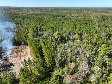 Timberland Property for sale in Brantley County, Georgia