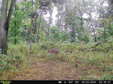 Recreational Property for sale in Greene County, Indiana