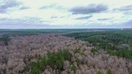 Timberland Property for sale in Cass County, Texas