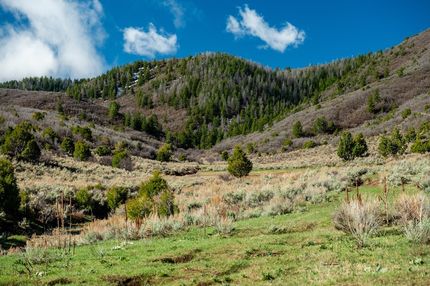 Recreational Property for sale in Rio Blanco County, Colorado