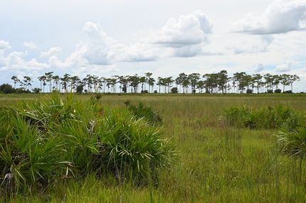 Property for sale in Polk County, Florida