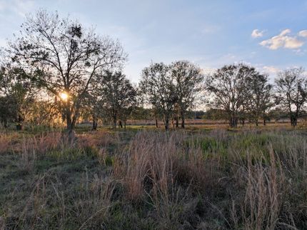 Farm Property for sale in Polk County, Florida