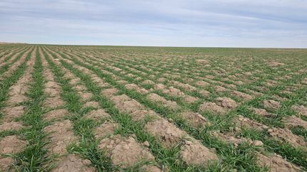 Property for sale in Wallace County, Kansas