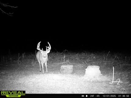 Property for sale in Osage County, Kansas