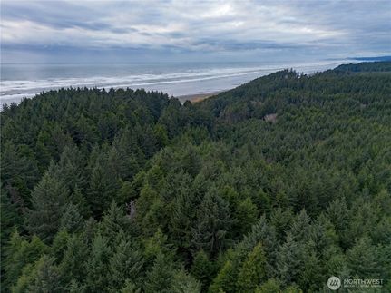 Undeveloped Land for sale in Grays Harbor County, Washington