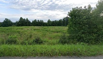 Undeveloped Land for sale in Prince Edward County, Virginia