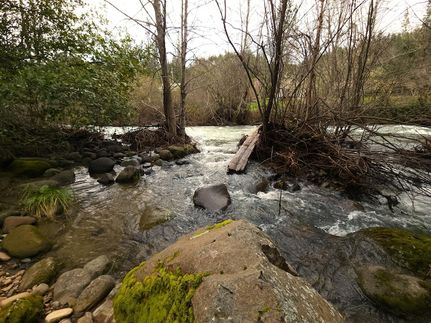 Property for sale in Shasta County, California