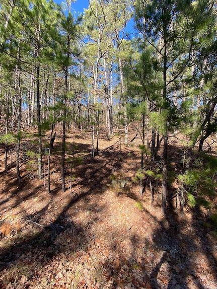 Property for sale in Saline County, Arkansas