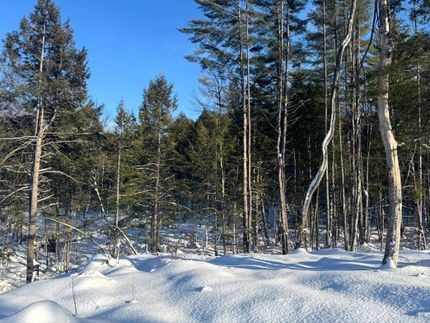 Property for sale in Oneida County, New York