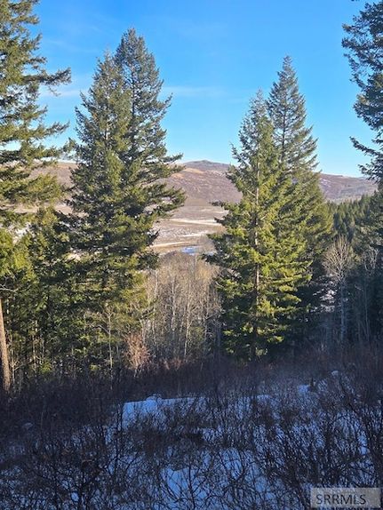 Property for sale in Bingham County, Idaho