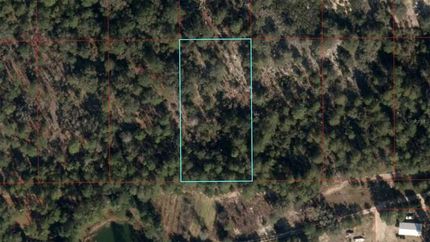 Property for sale in Levy County, Florida