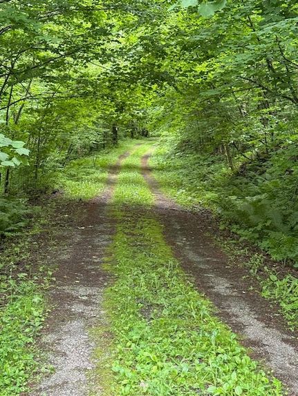 Undeveloped Land for sale in Franklin County, Vermont