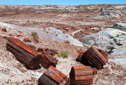 Property for sale in Navajo County, Arizona