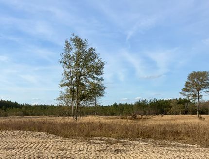 Hunting Land for sale in George County, Mississippi