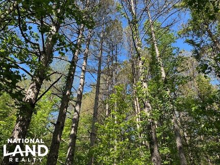 Hunting Land for sale in Franklin County, Alabama