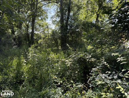 Timberland Property for sale in Richland Parish, Louisiana