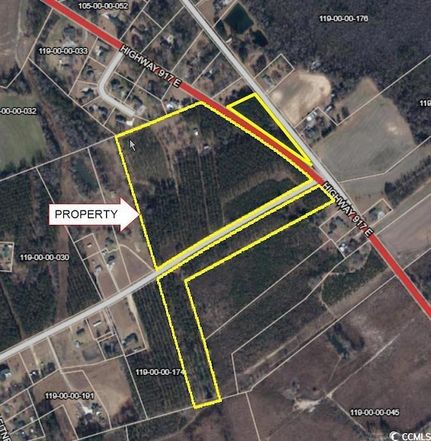Property for sale in Dillon County, South Carolina