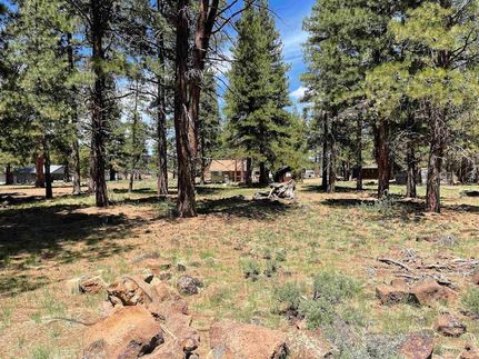 Property for sale in Lassen County, California