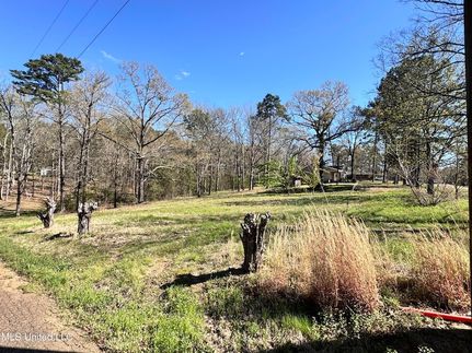 Undeveloped Land for sale in Rankin County, Mississippi