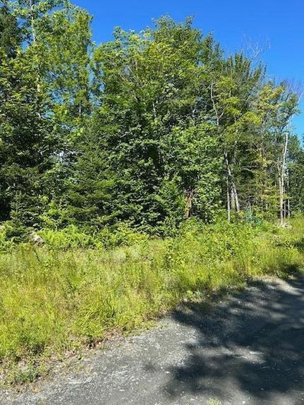 Undeveloped Land for sale in Piscataquis County, Maine
