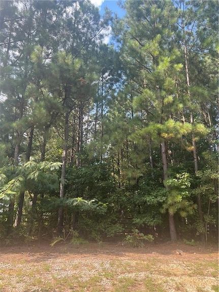 Undeveloped Land for sale in Walton County, Georgia