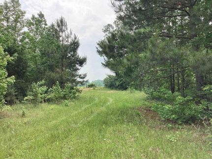 Undeveloped Land for sale in Hempstead County, Arkansas