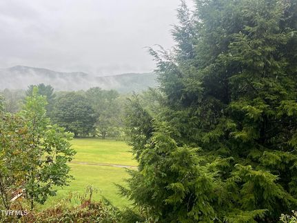 Undeveloped Land for sale in Unicoi County, Tennessee