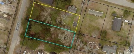 Undeveloped Land for sale in Williamsburg County, South Carolina