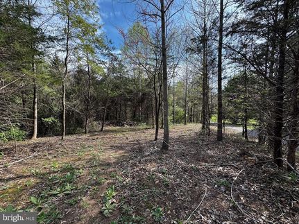 Undeveloped Land for sale in Culpeper County, Virginia