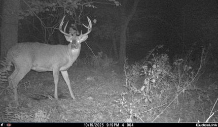 Undeveloped Land for sale in Waupaca County, Wisconsin