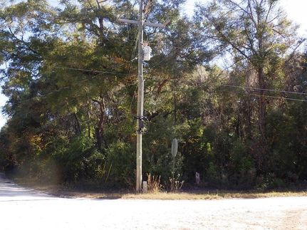 Undeveloped Land for sale in Levy County, Florida