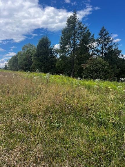 Undeveloped Land for sale in Nicholas County, West Virginia