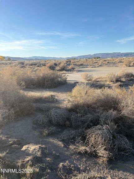 Property for sale in Lyon County, Nevada