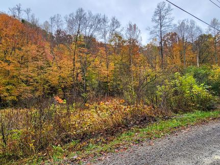 Property for sale in Campbell County, Tennessee