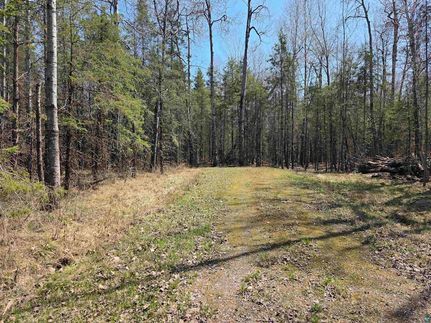 Undeveloped Land for sale in Ashland County, Wisconsin